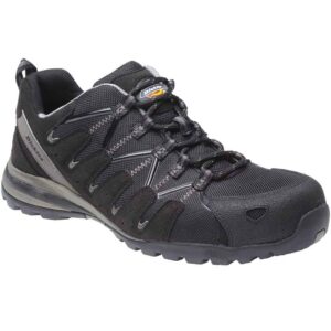 Most Comfortable Steel Toe Cap Trainers 