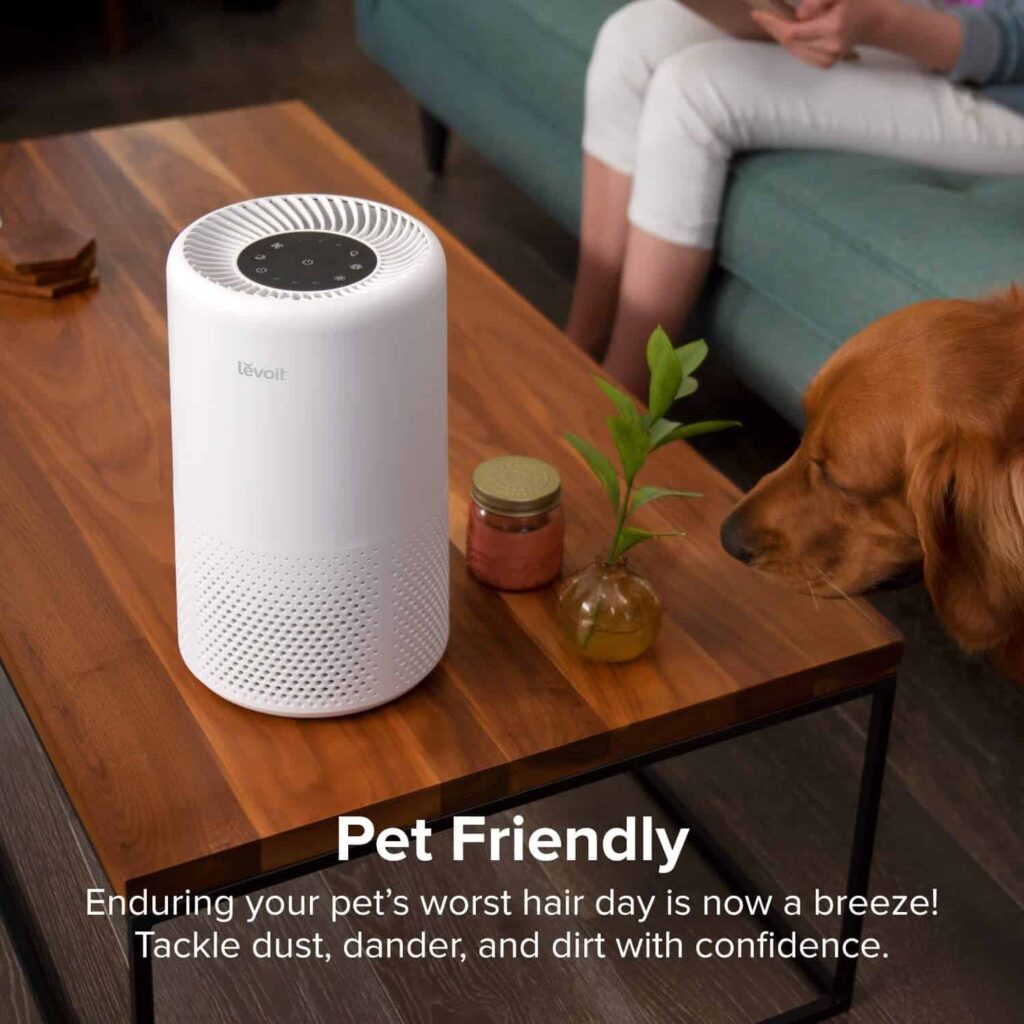 dust and pet hair air cleaner
